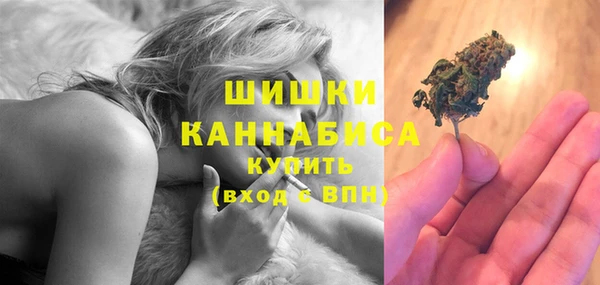 индика Зеленокумск