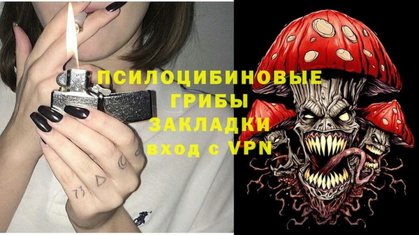 индика Зеленокумск