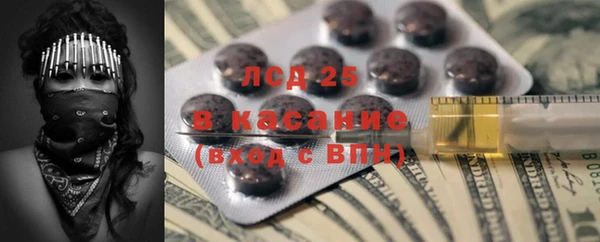 индика Зеленокумск