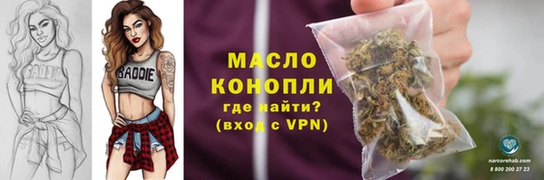 индика Зеленокумск