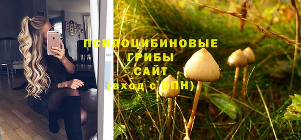 индика Зеленокумск
