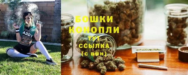 индика Зеленокумск