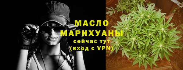 индика Зеленокумск