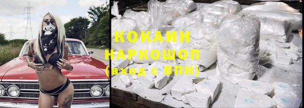 индика Зеленокумск