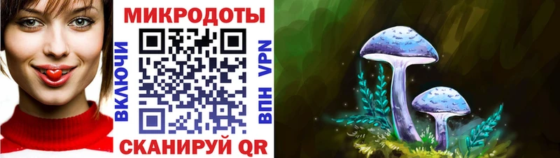 Купить где  Тосно  Псилоцибиновые грибы GOLDEN TEACHER 