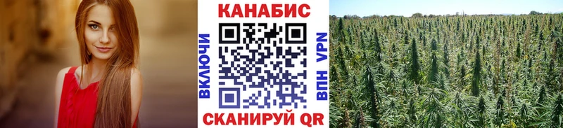 Купить где  Тосно  Шишки марихуана ГИДРОПОН 